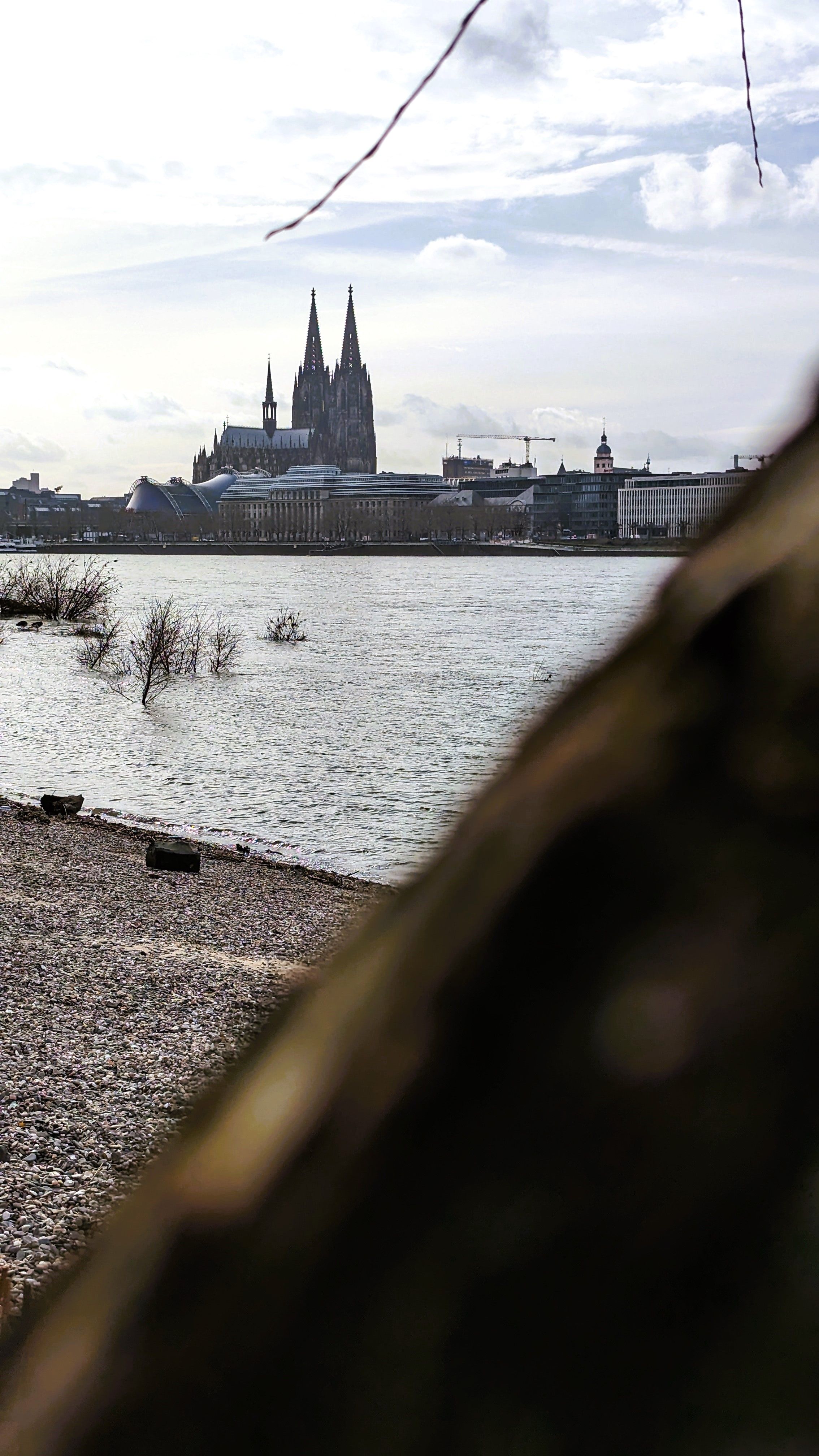 Cologne Cathedral is clearly visible from the riverside promenade in the Rheinpark