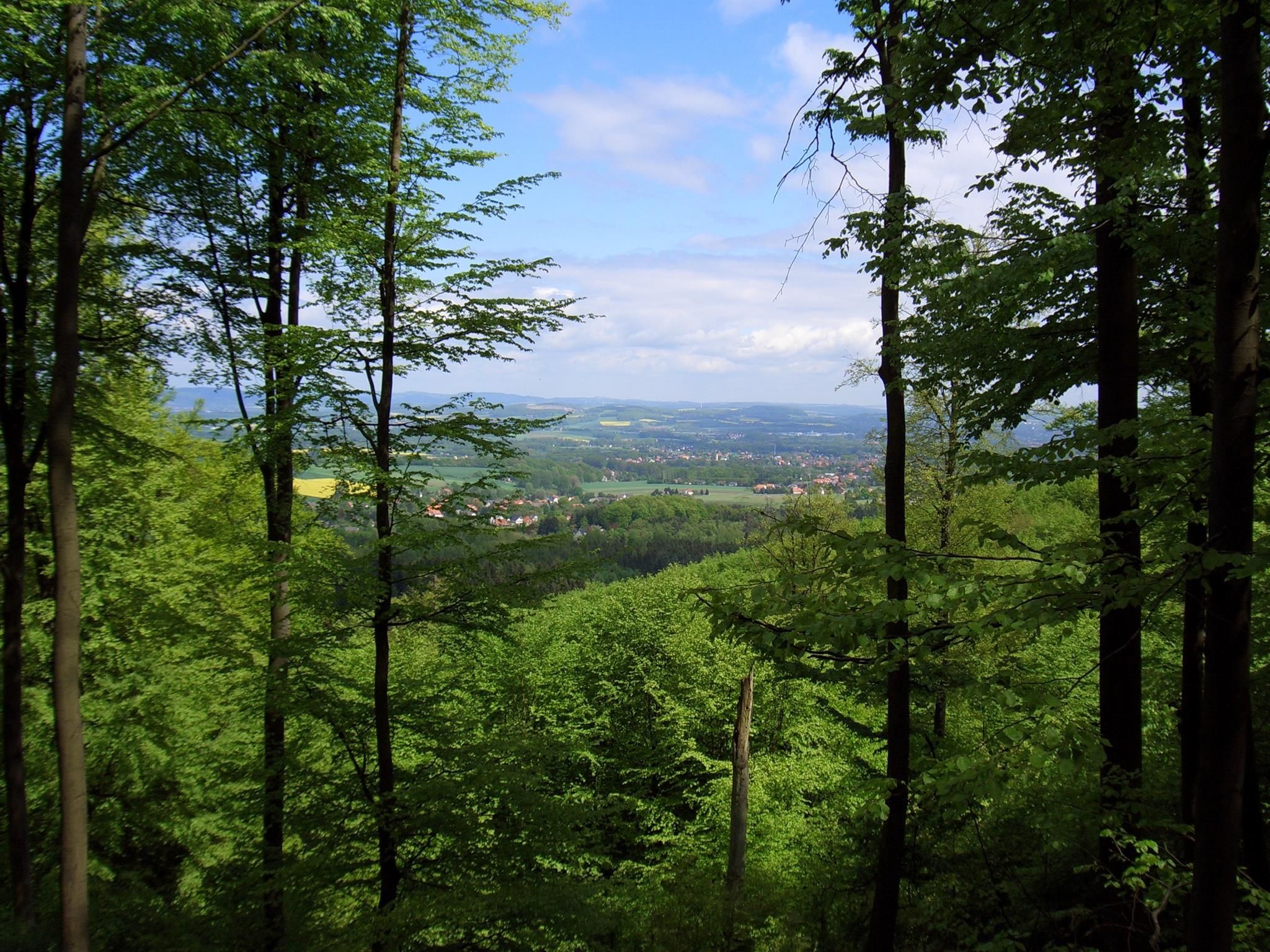 View from the ridge of the Teutoburg Forest
