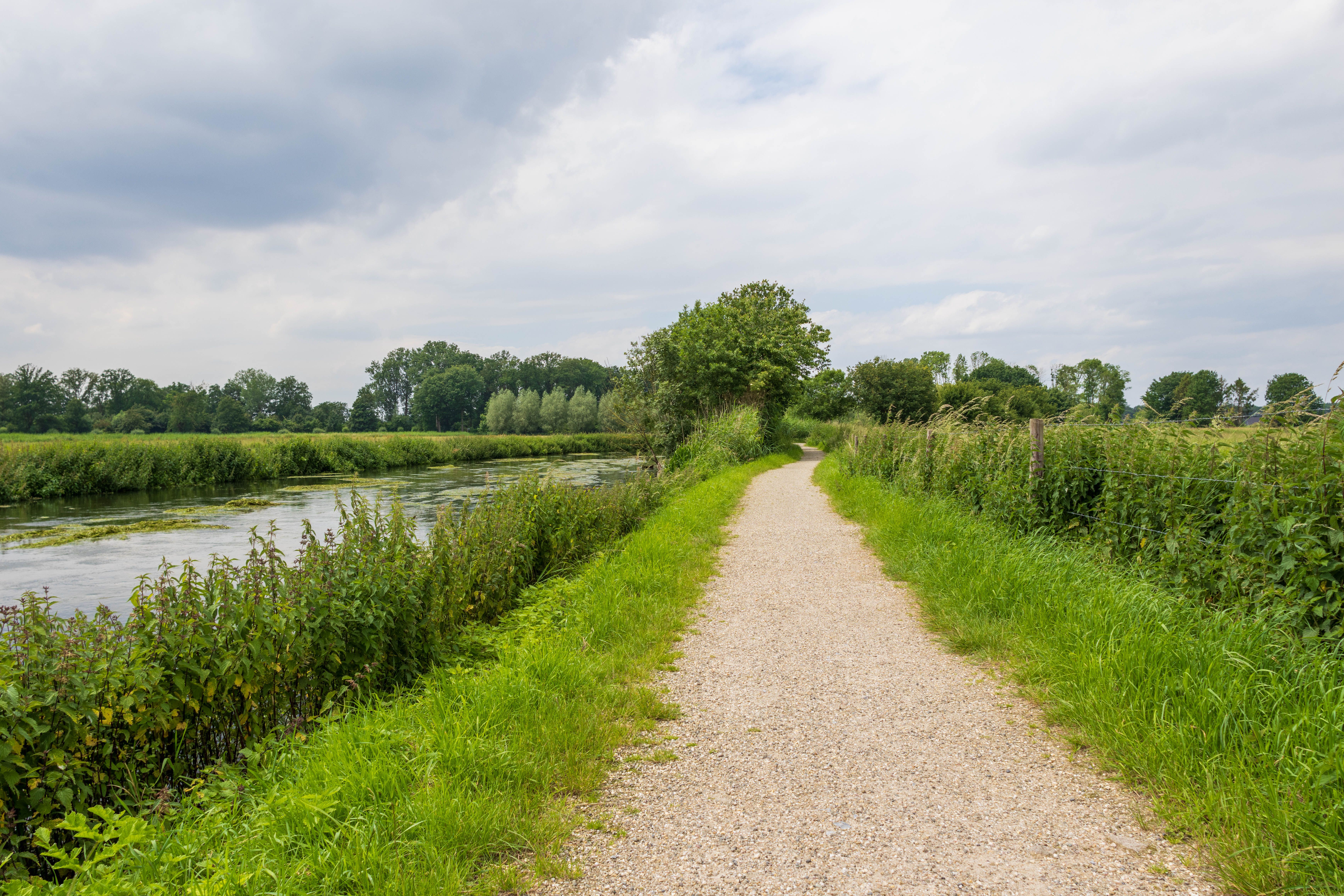 20240605-Erlebnisweg Nord_Wanderweg an der Niers-© NPSN Ermecke
