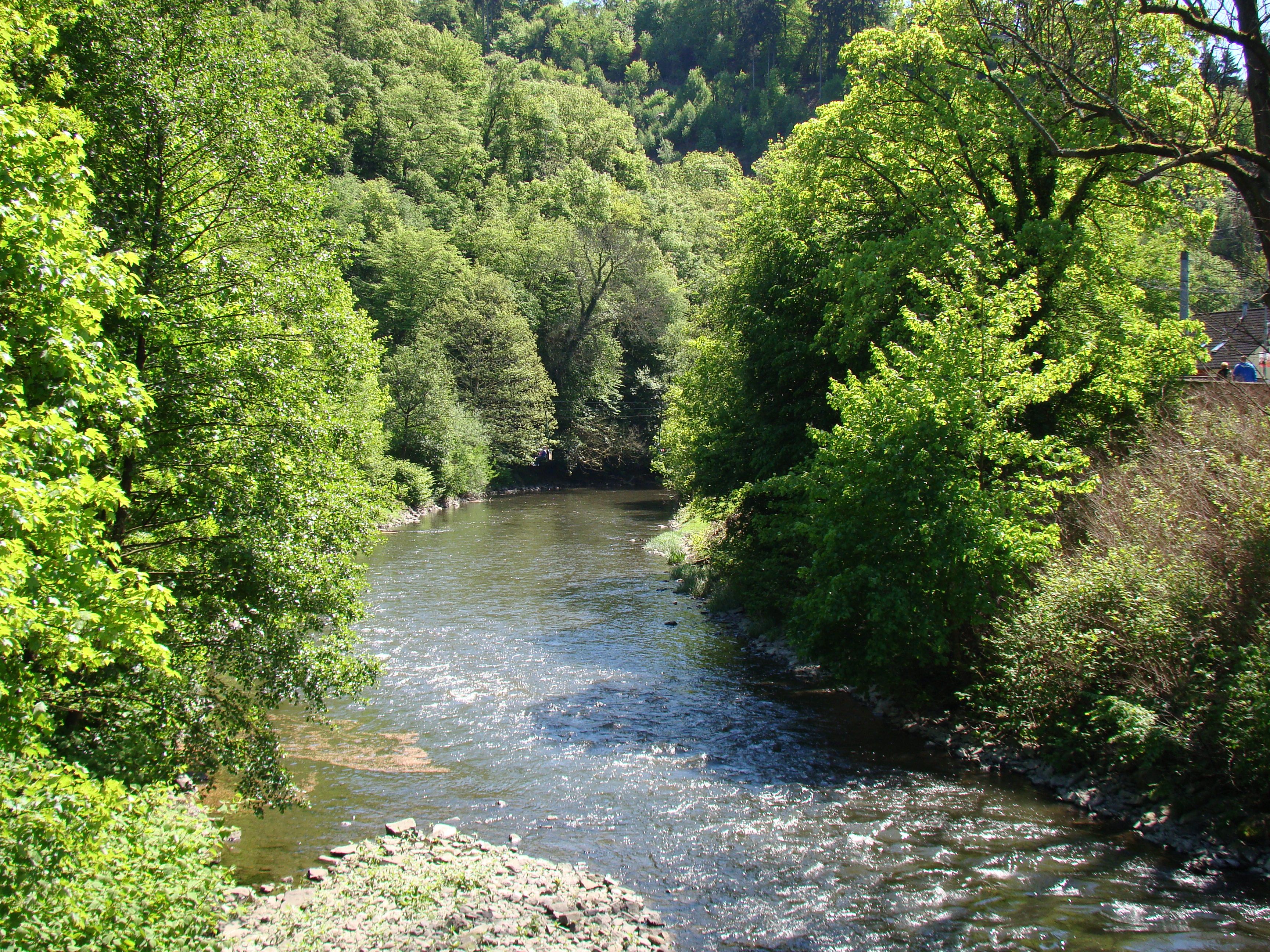 River Wupper flows through a green, wooded landscape in Solingen-Burg.