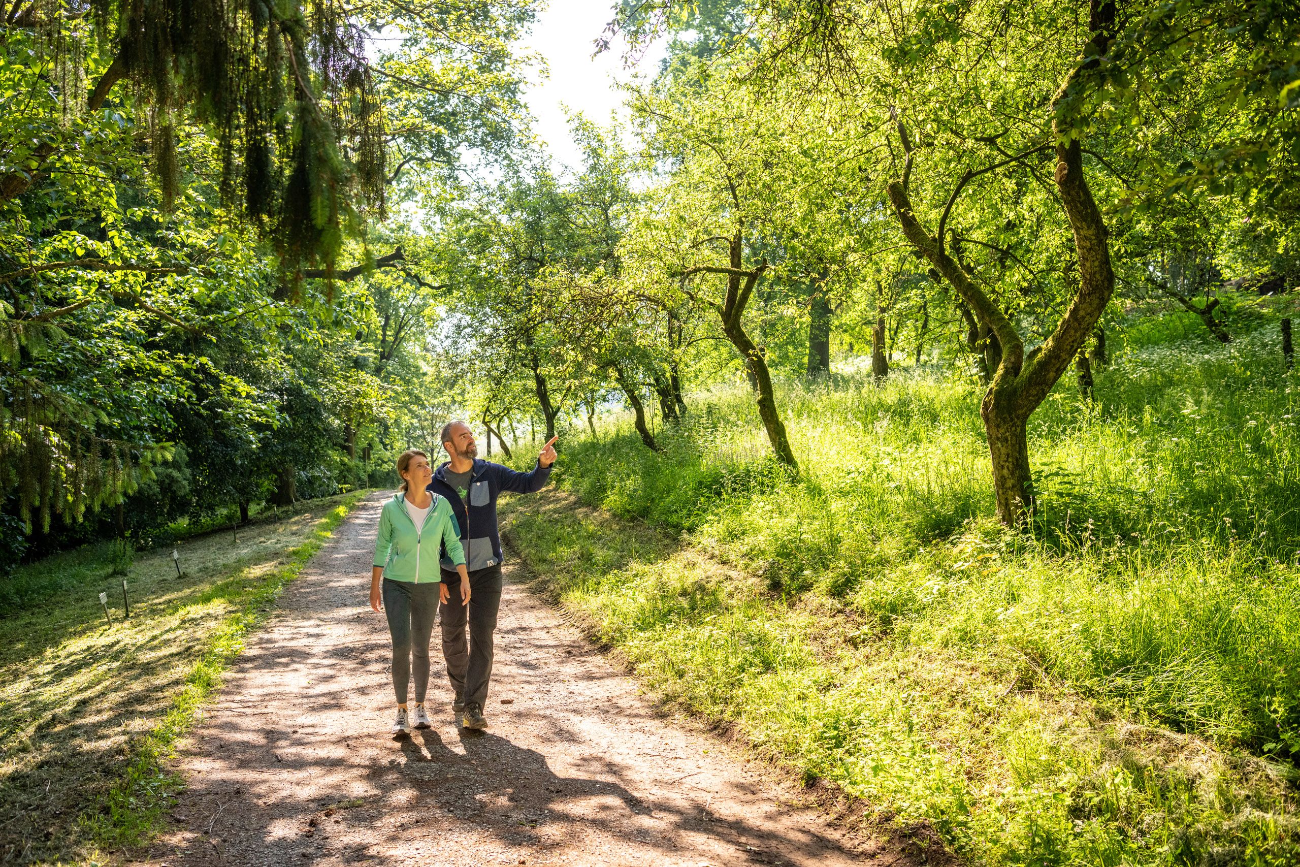 To Page Buddenberg Arboretum 