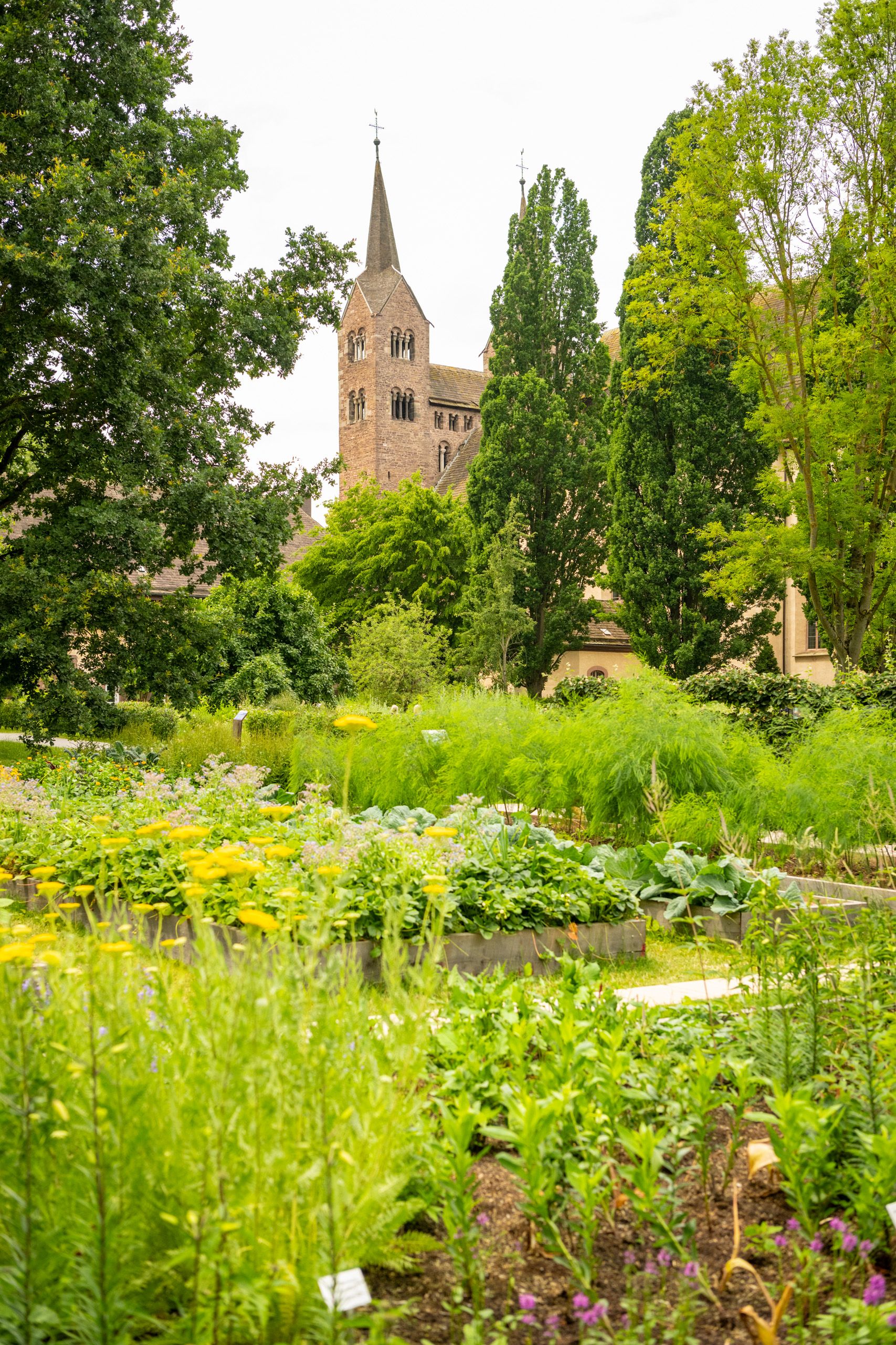 Hoexter-Landesgartenschaugelände Remtergarten