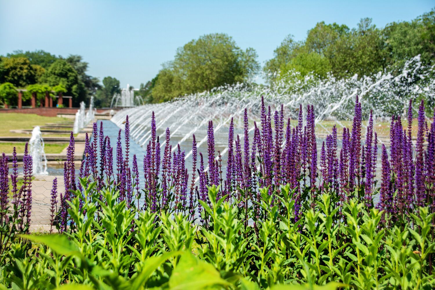 The 170-meter-long water axis with its bubbling fountain pool is a real eye-catcher. Flowerbeds and hedges frame it