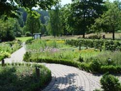Kräutergarten Kurpark Brilon