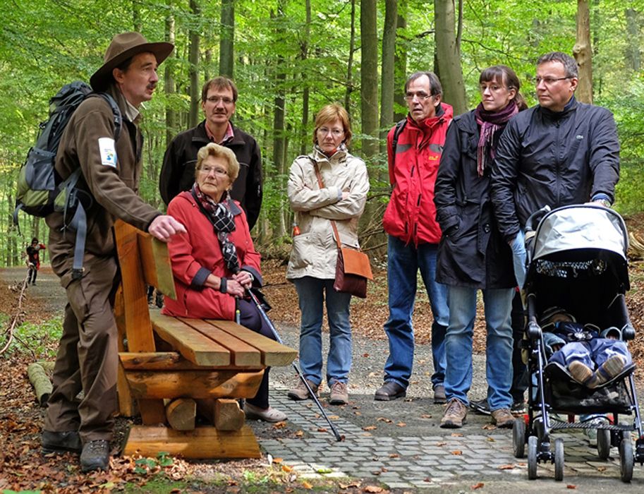 Ranger tour in the Eifel National Park