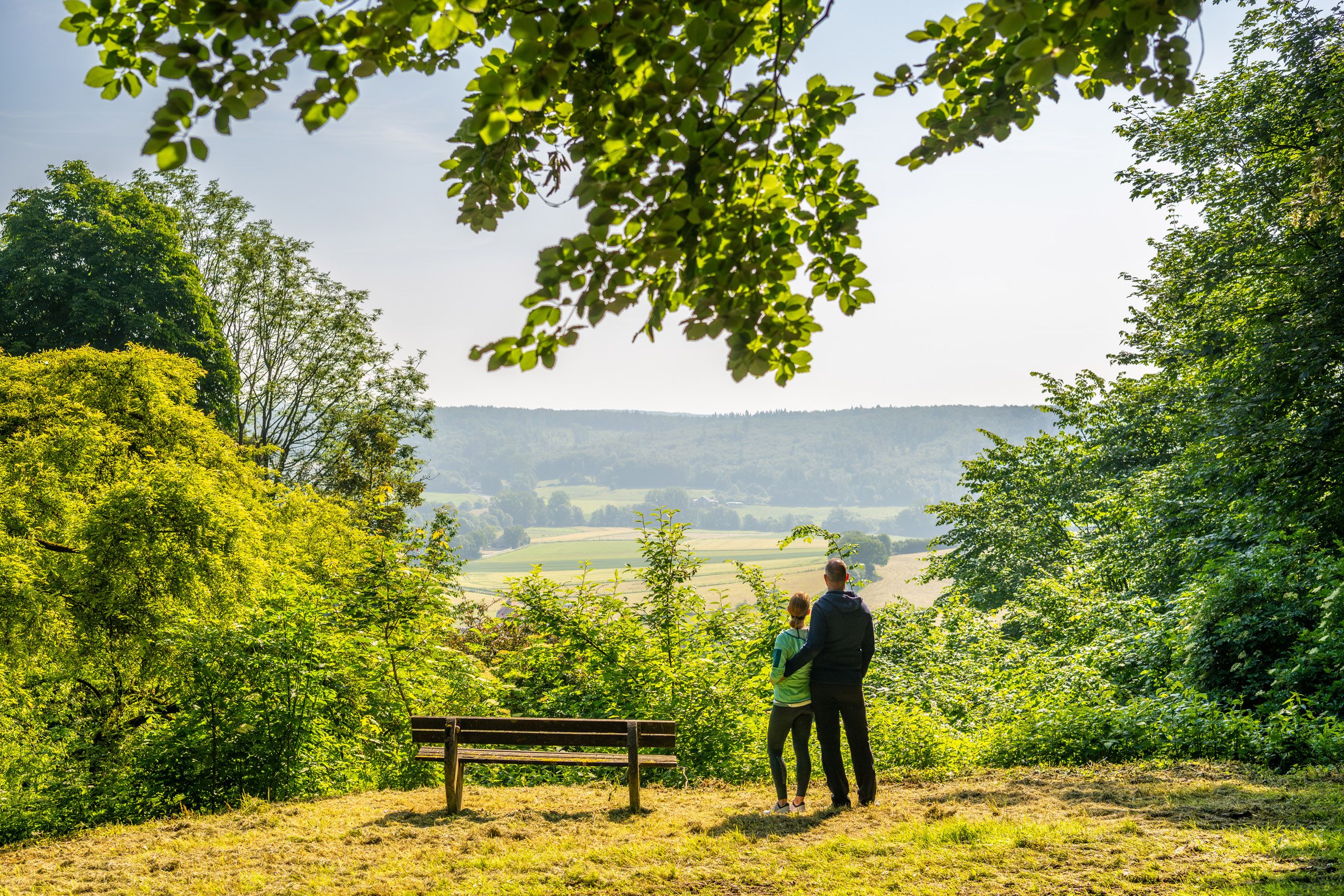 To Page Buddenberg Arboretum 