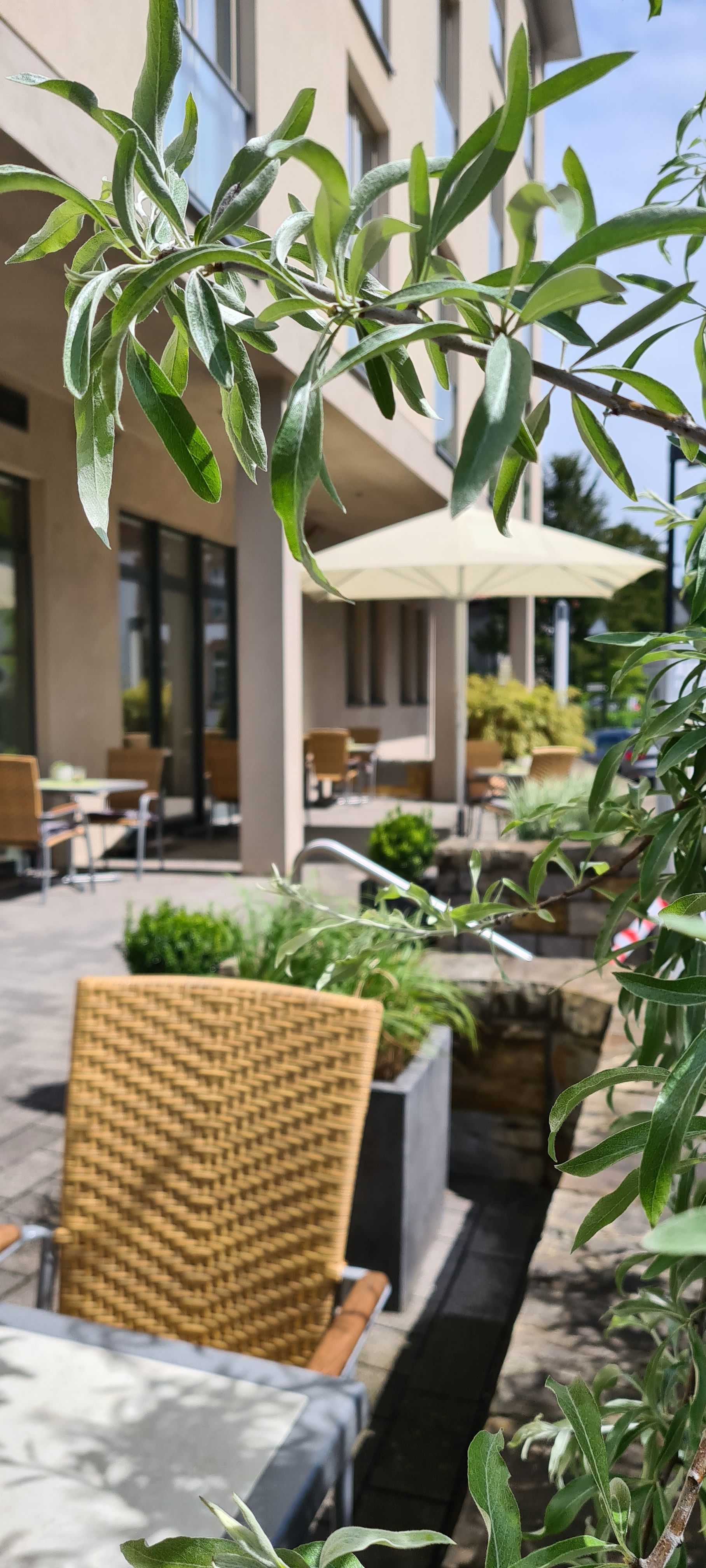 Hotel Aspethera - Terrace