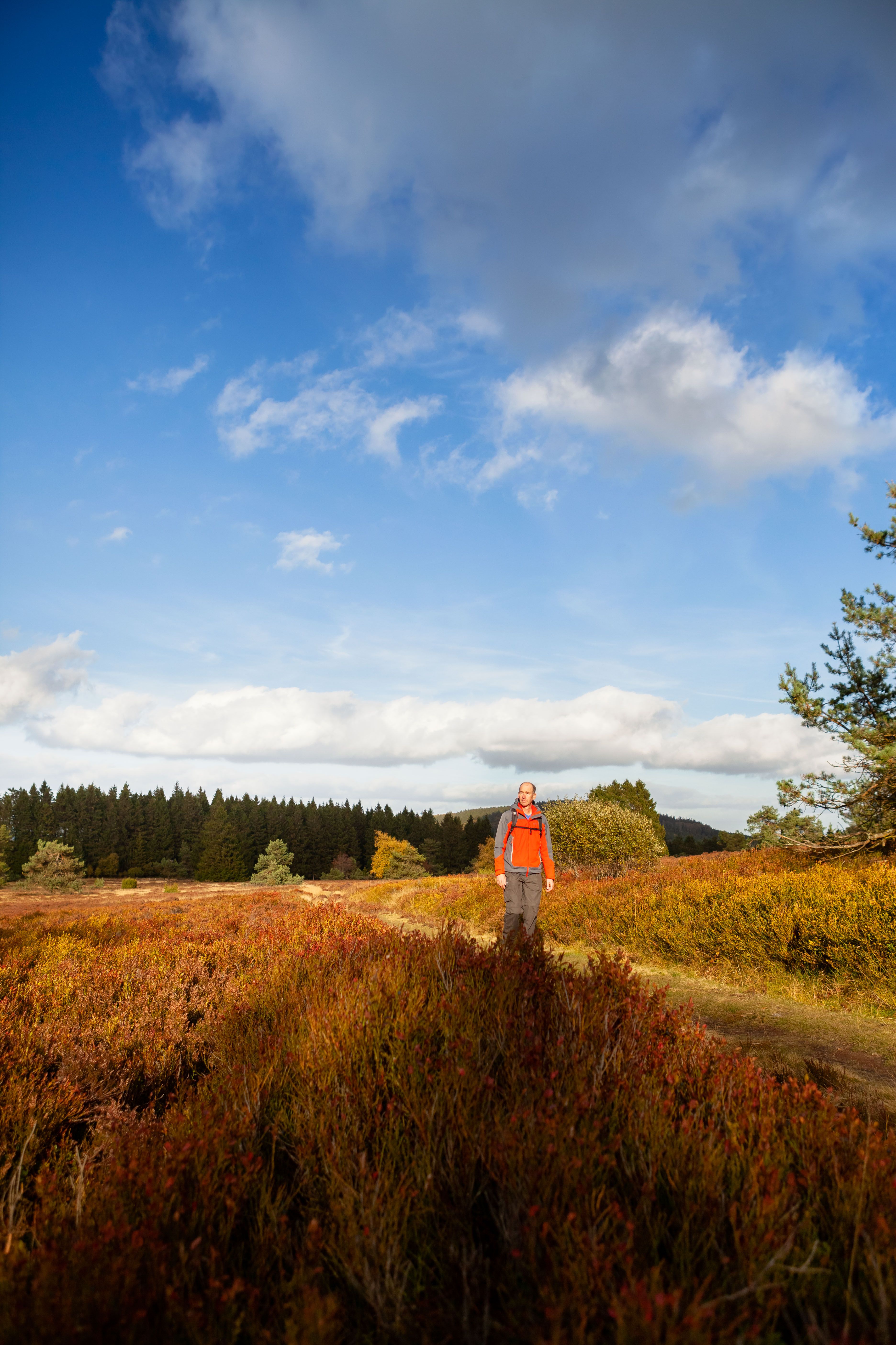 The largest high heath in North Rhine-Westphalia in the "Neuer Hagen" nature reserve offers nature experiences at an altitude of over 800 m.