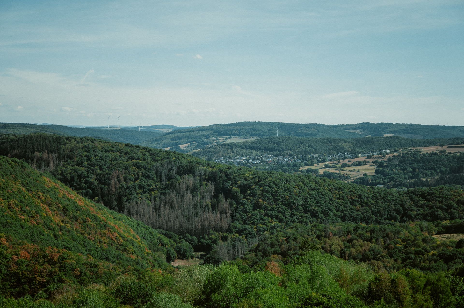 Eifel National Park © Johannes Höhn, Tourismus NRW e.V.