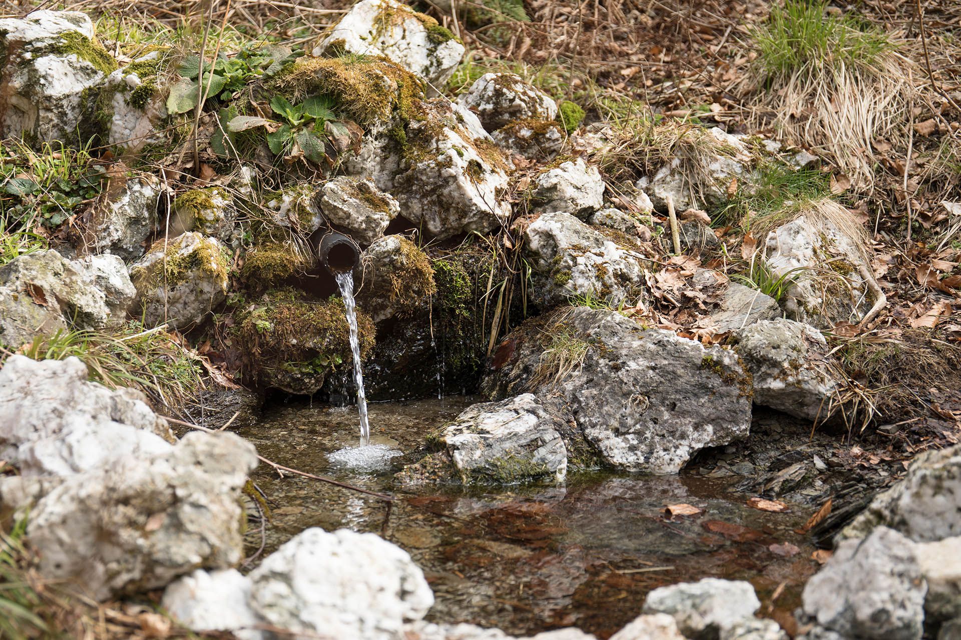 Spring surrounded by rocks