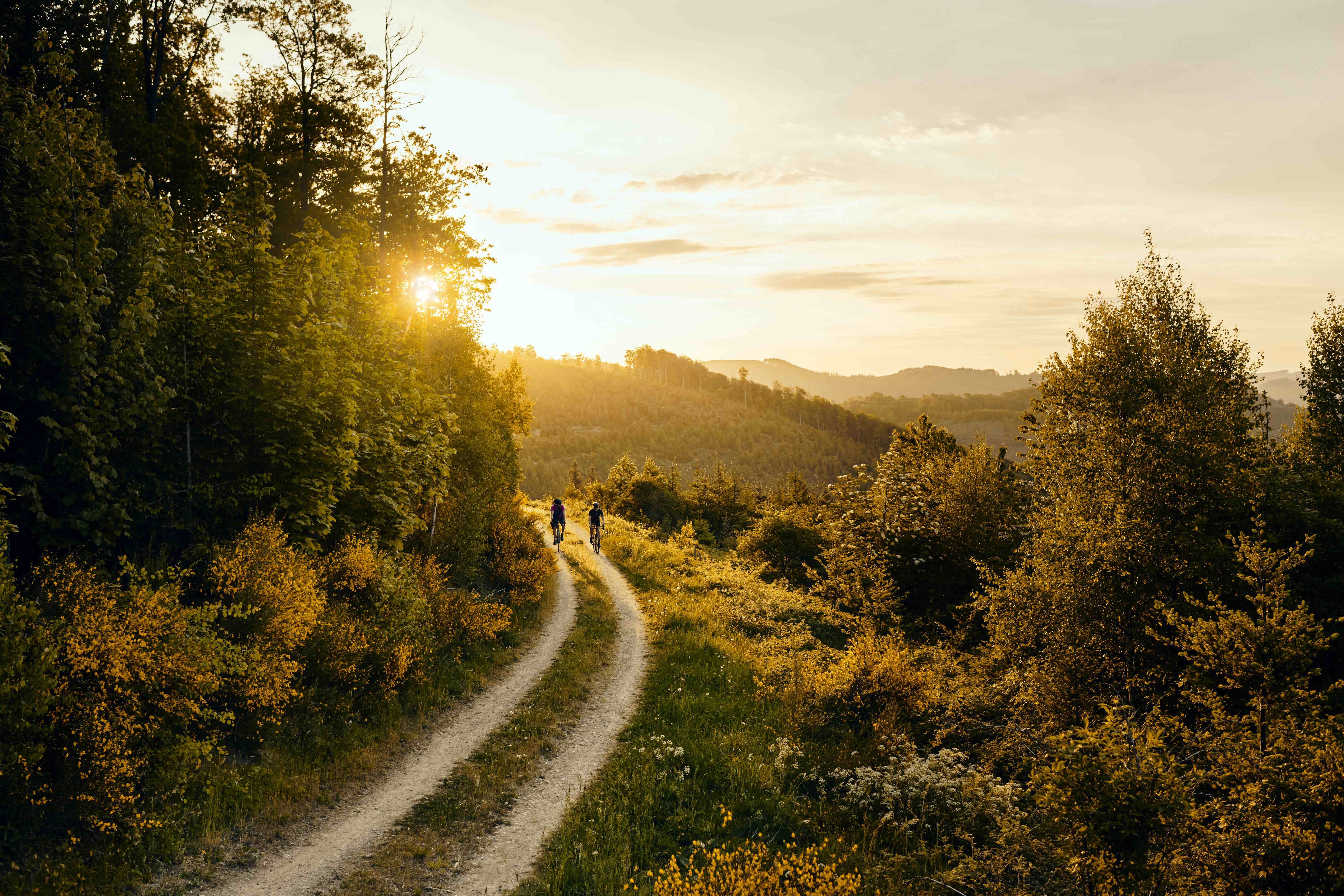 Gravel bike Sauerland in the evening