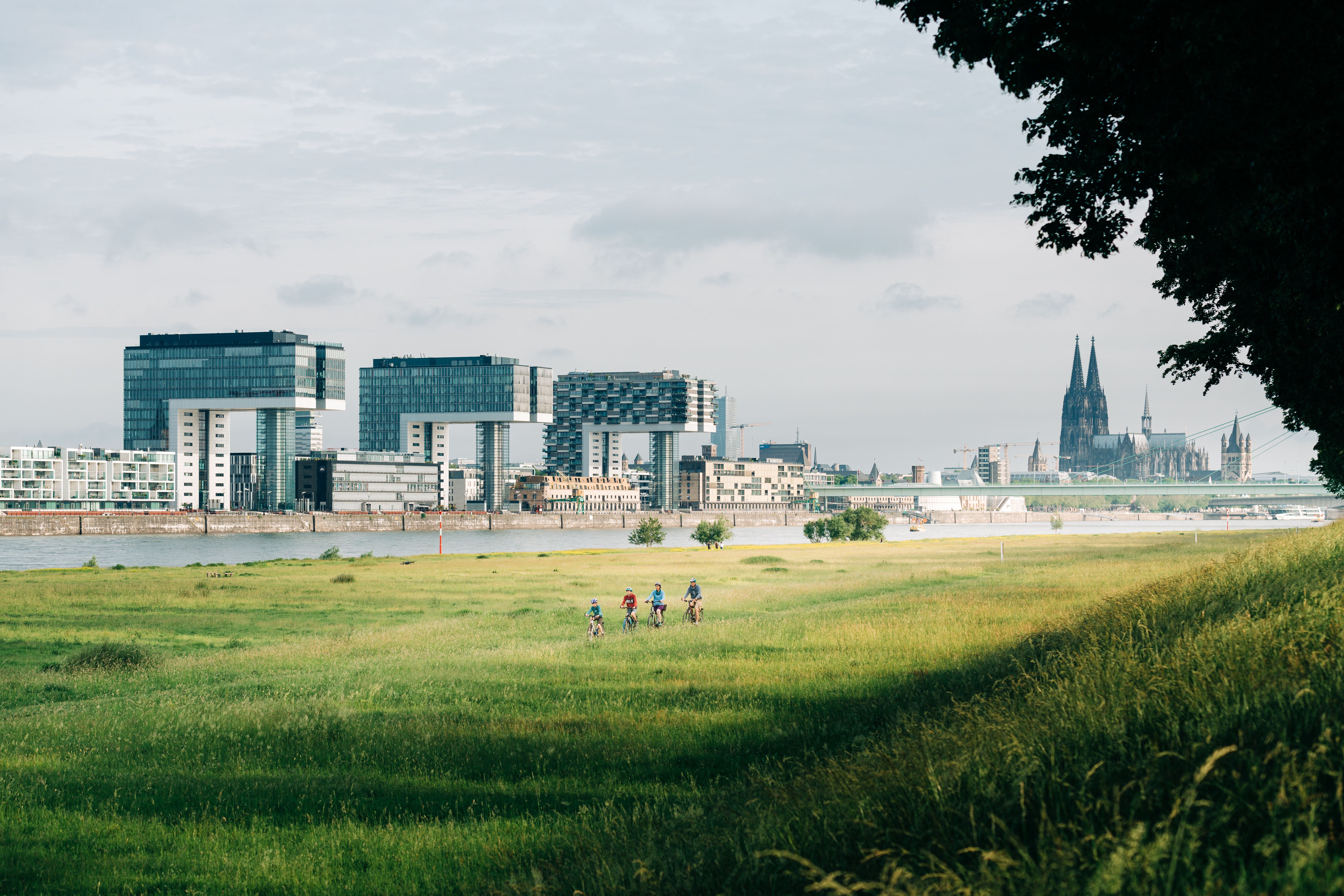 To Page Rhine Cycle Route (NRW section) - right bank