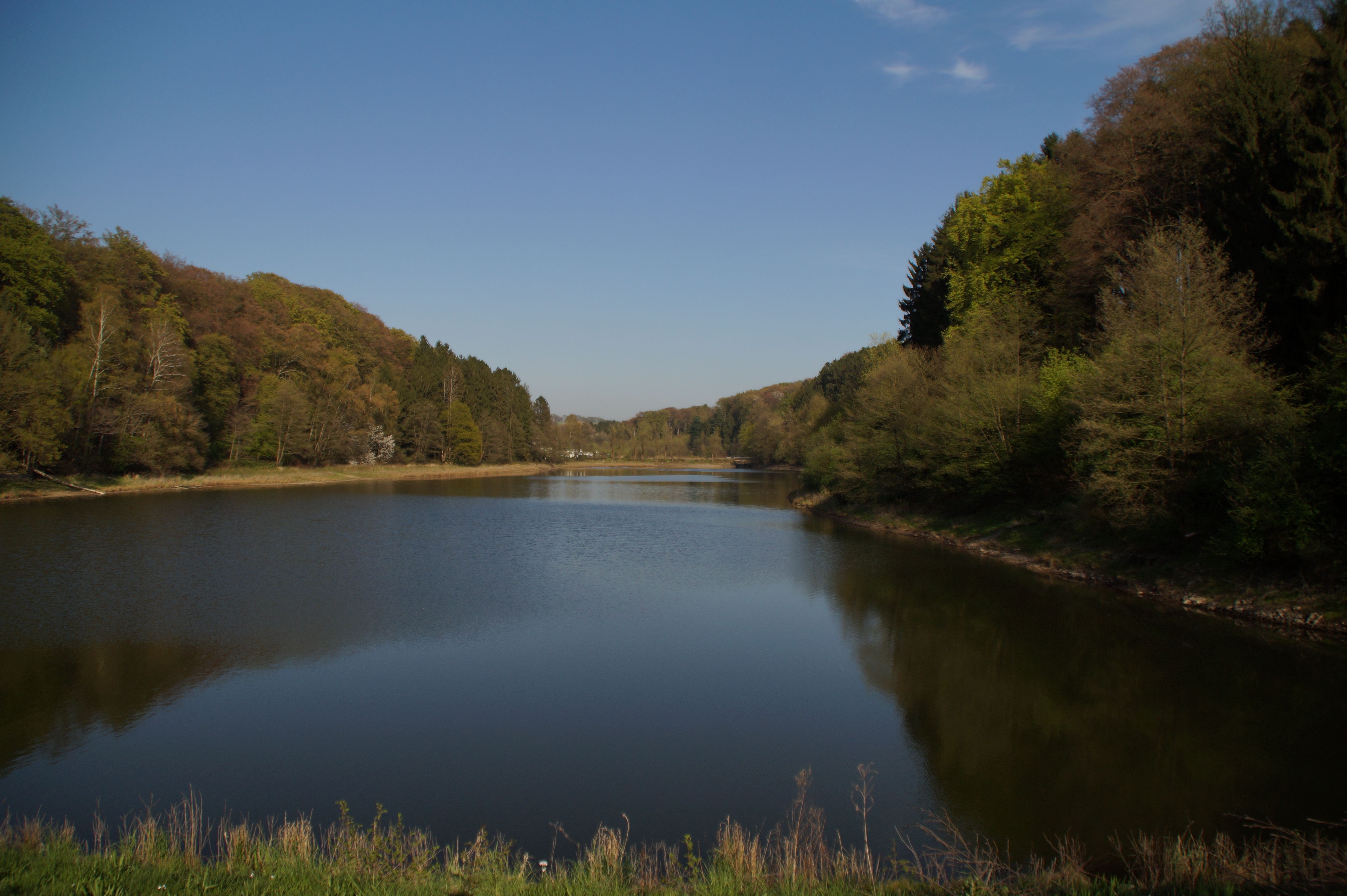 Diepentaler Talsperre is surrounded by wooded hills.