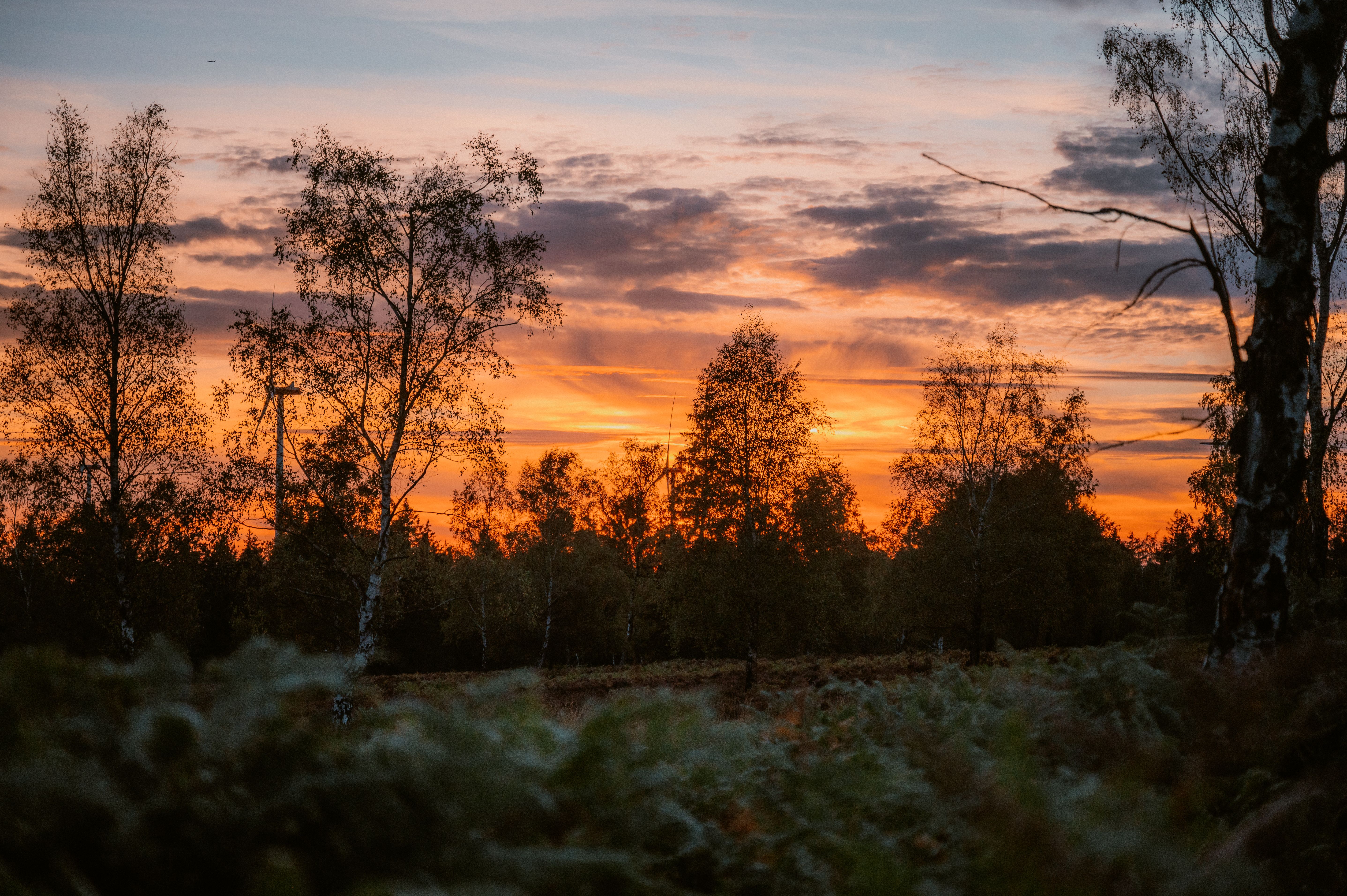 Zonsopgang op de Struffeltroute