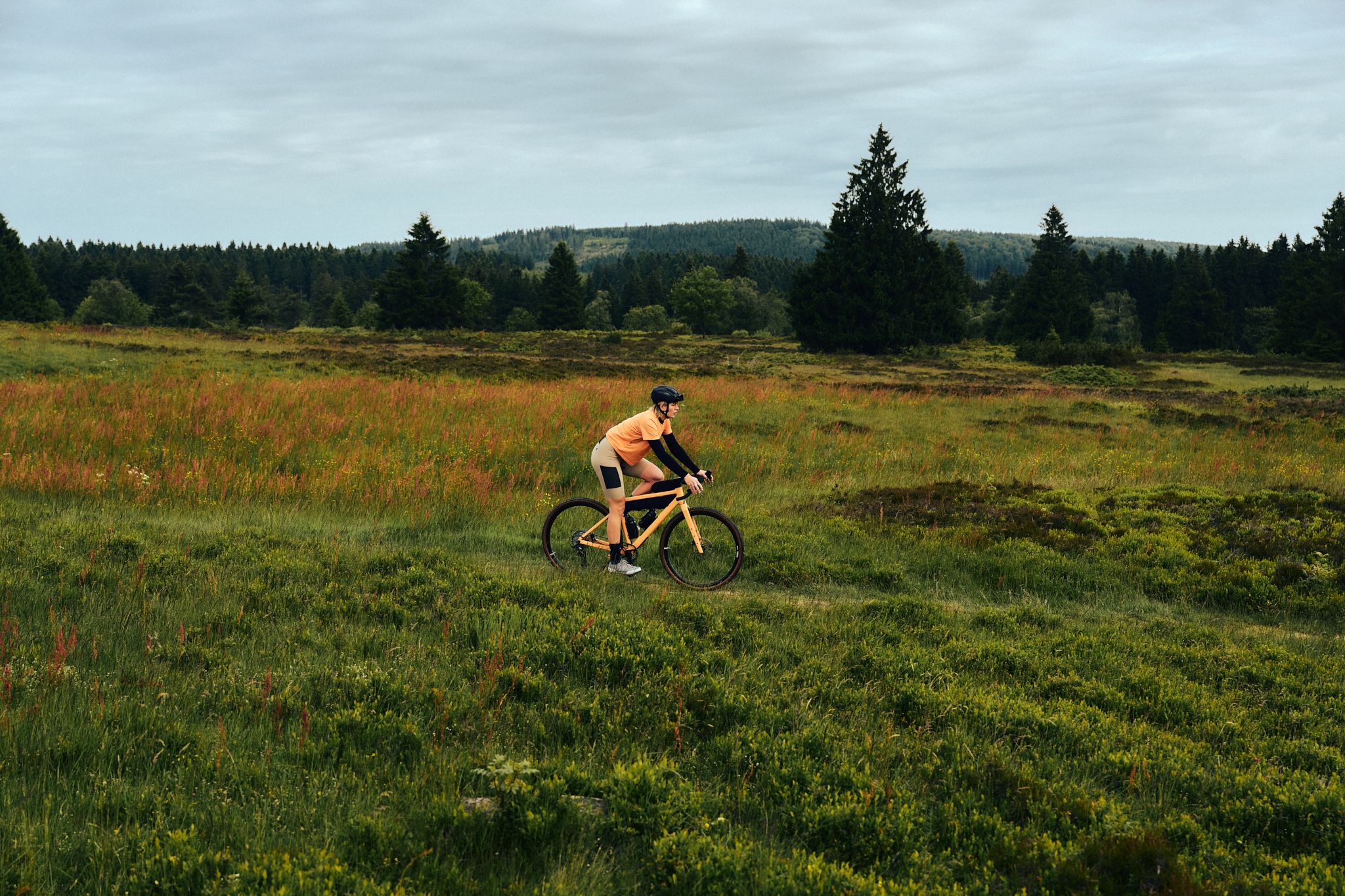 Gravel Ride through the Heathlands of the Sauerland