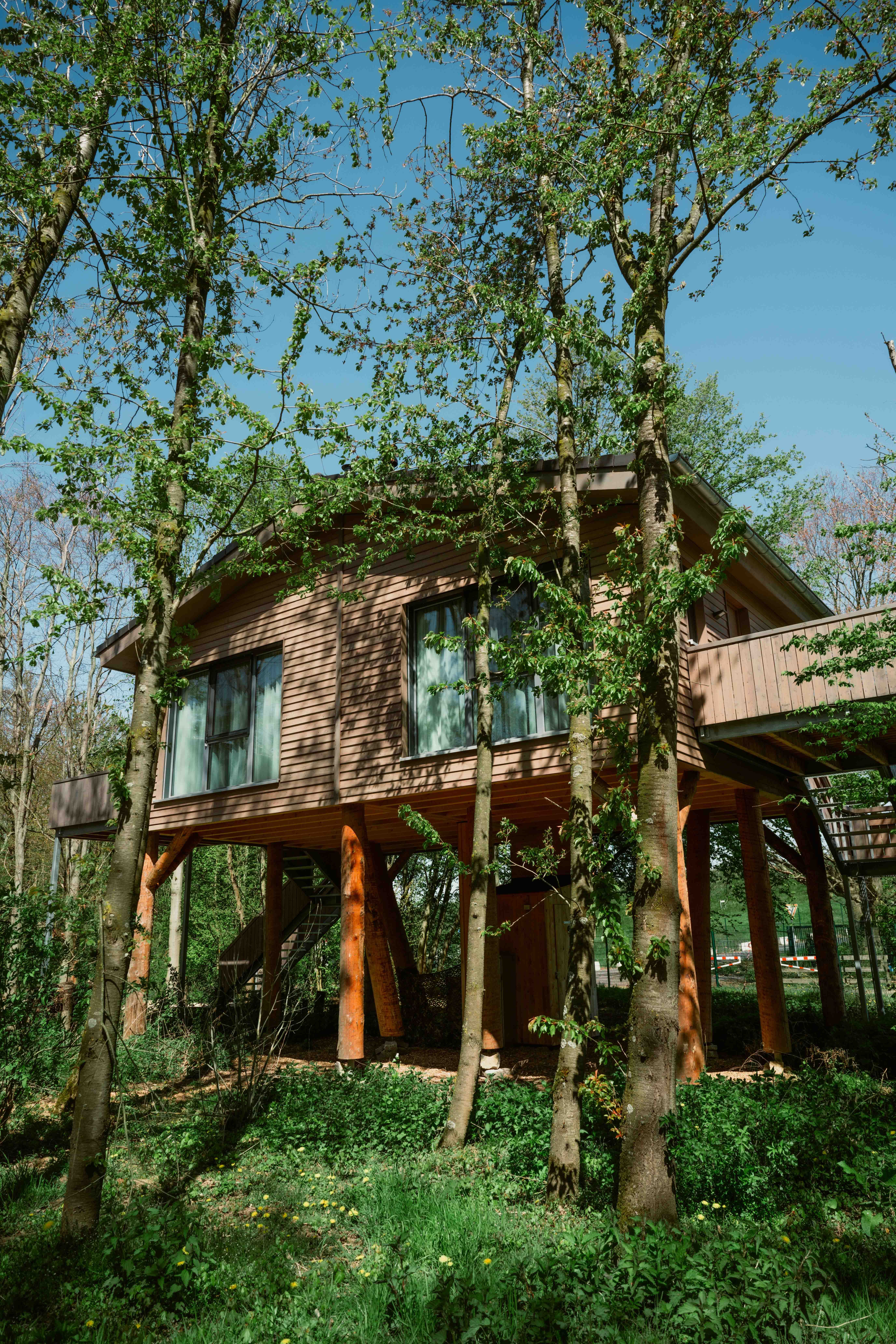 Tree chalet in the Alpanpark Neuss