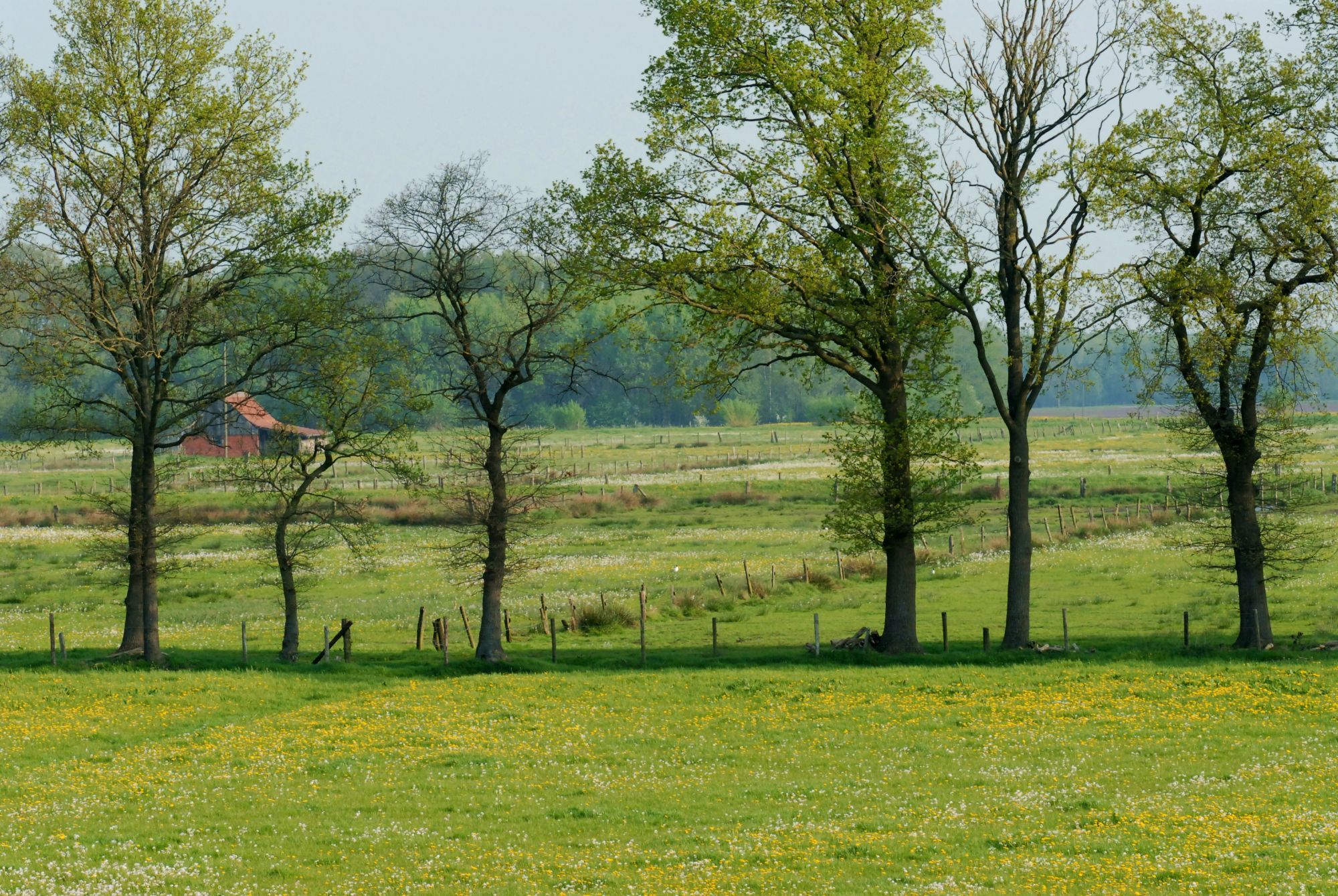 NSG Ellewicker Feld