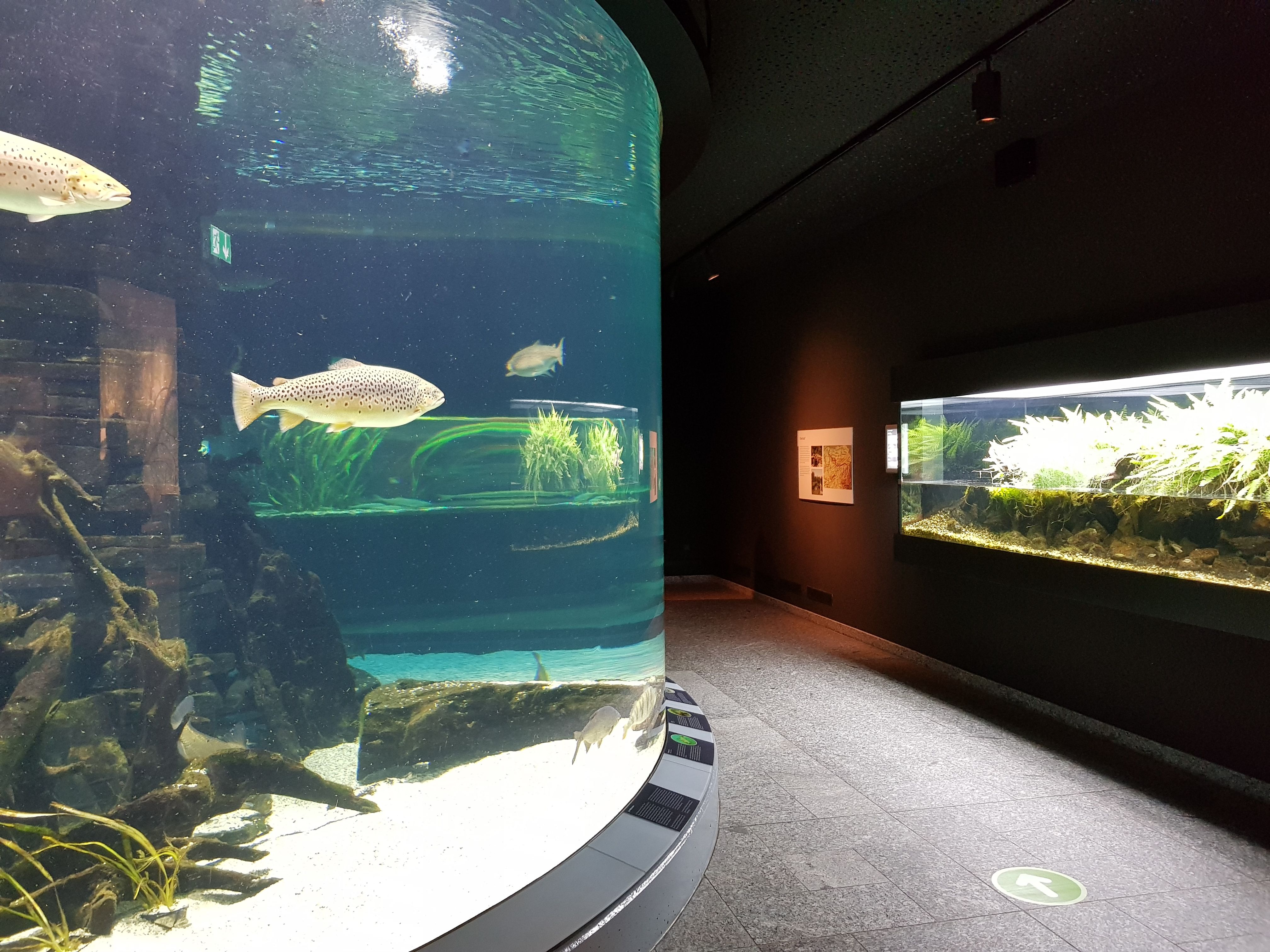 To Page Dortmund Nature Museum