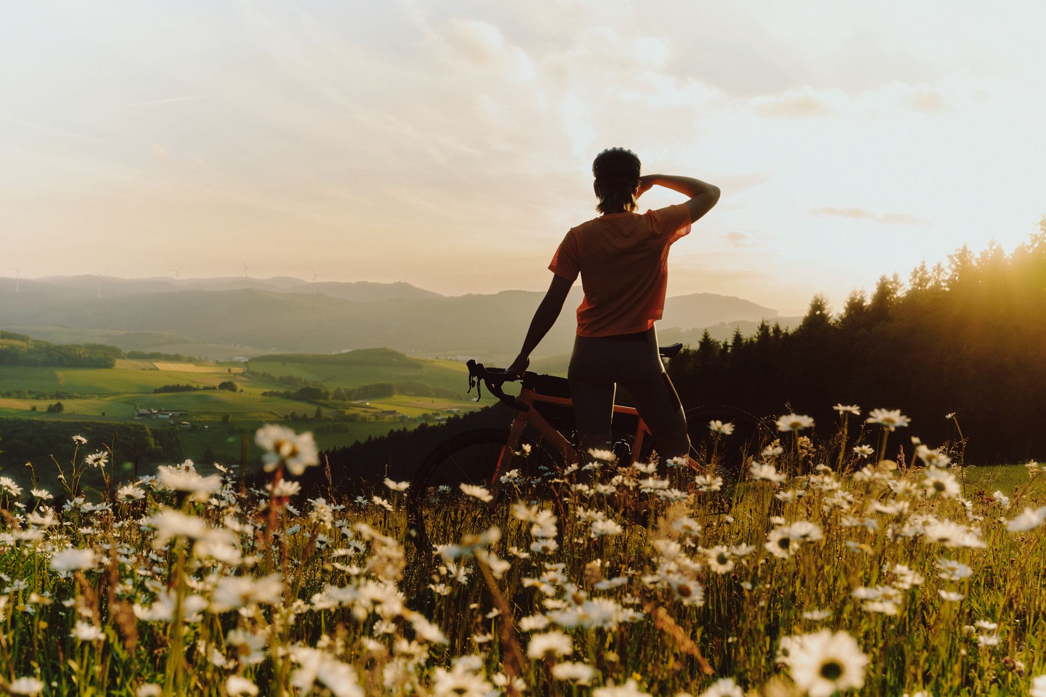 A gravel break at sunset, surrounded by flowering meadows and hills.