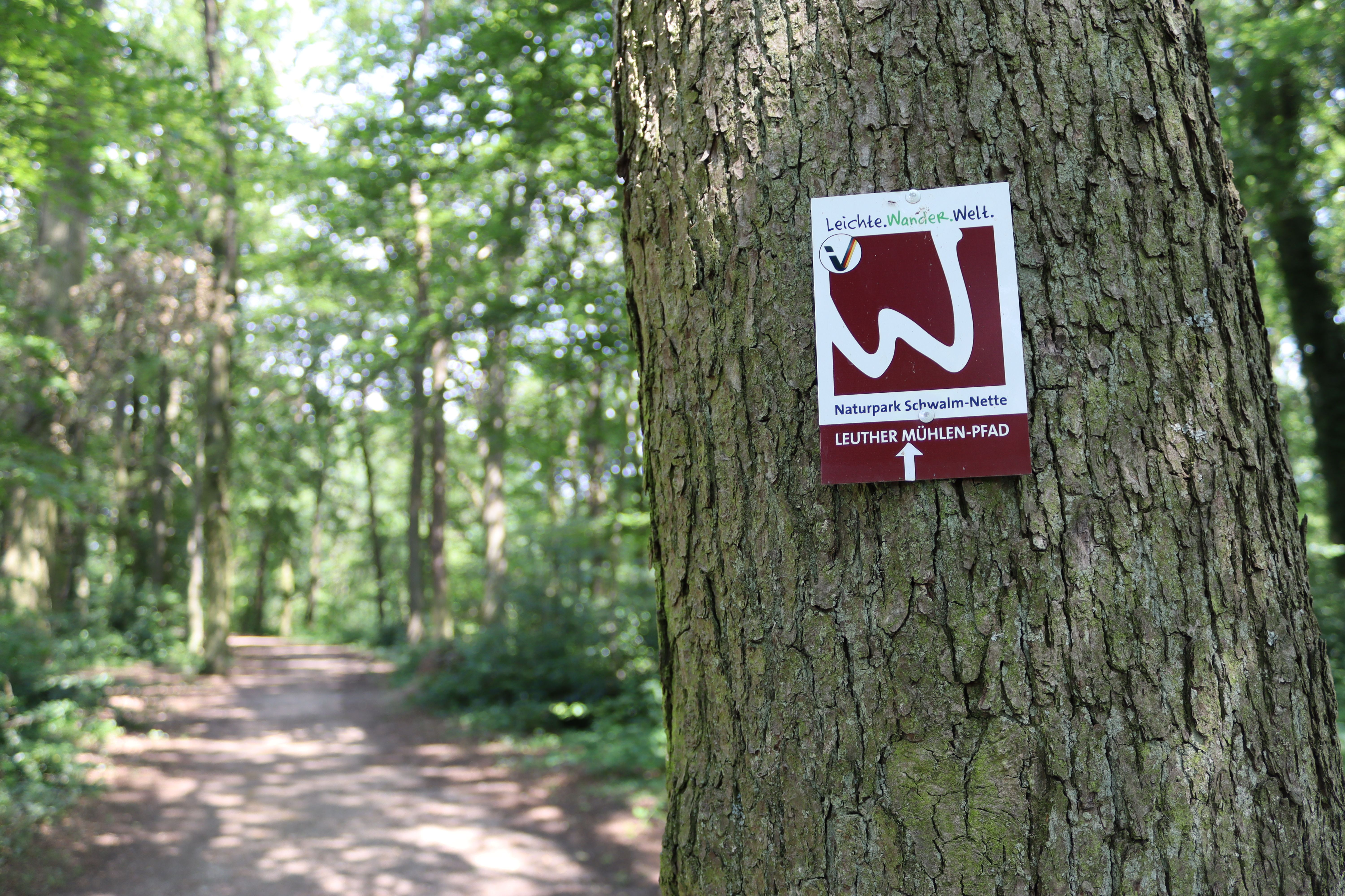 202106_Leuther Mühlen-Pfad_A3_Markierungsschild an Baum (3)-©NPSN Ermecke