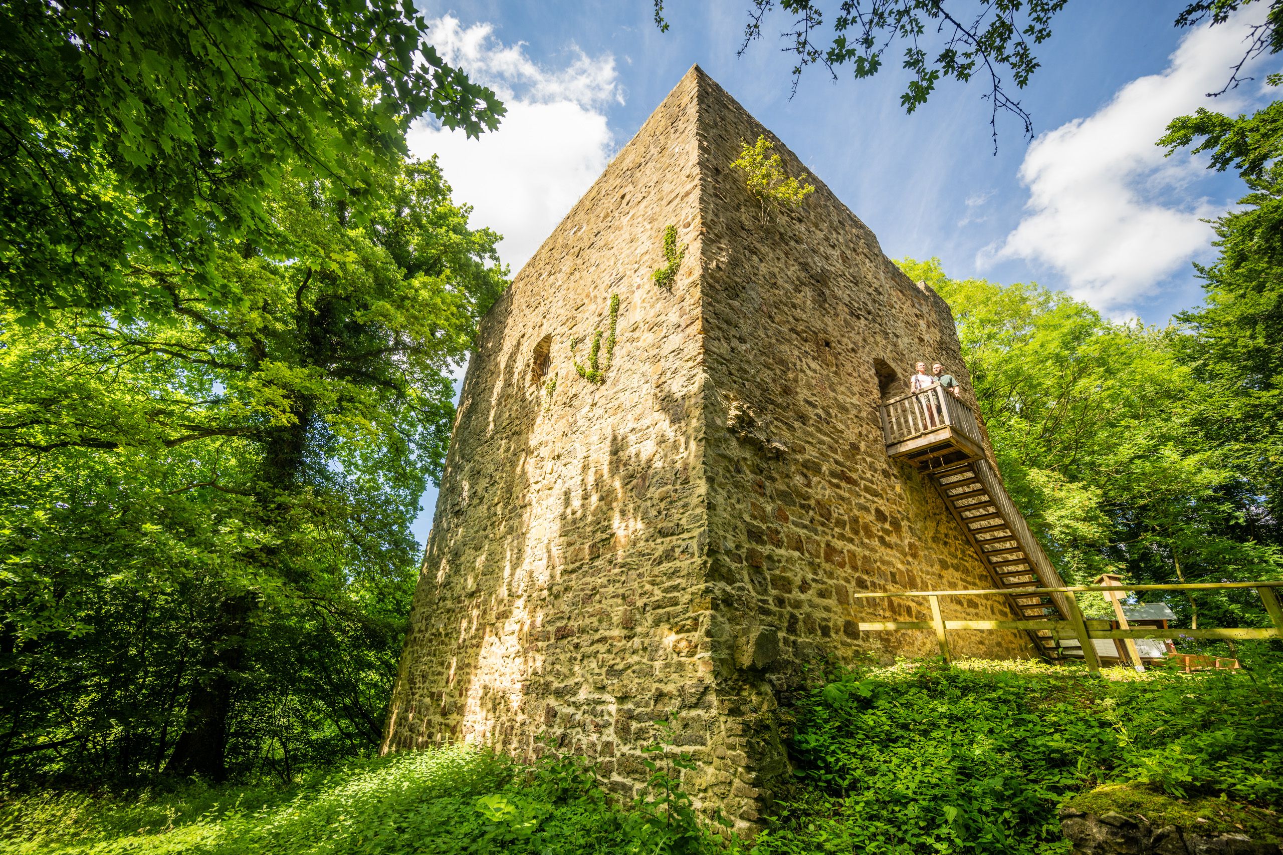 Castle tower in the forest
