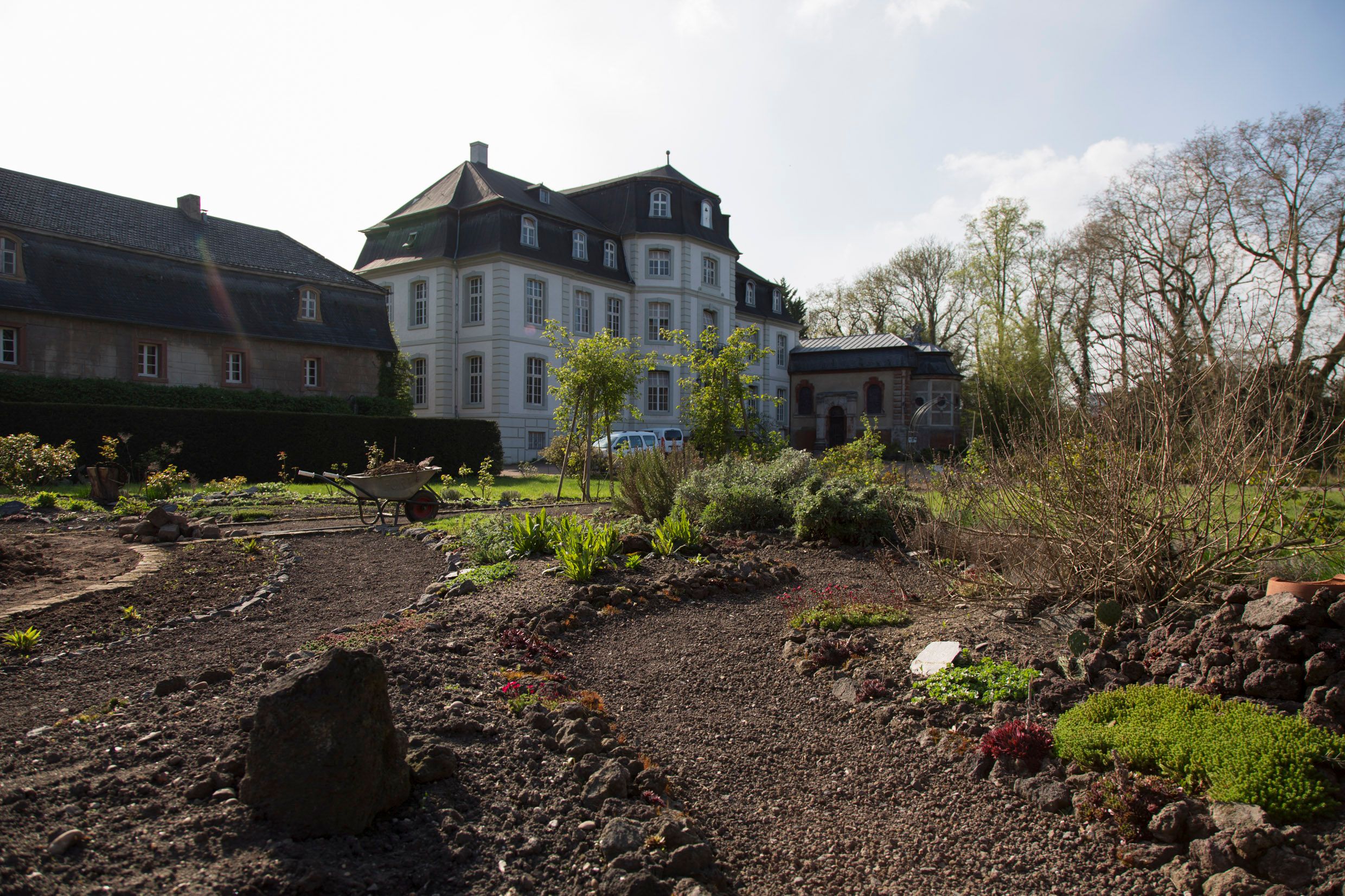 Herb garden of Türnich Castle