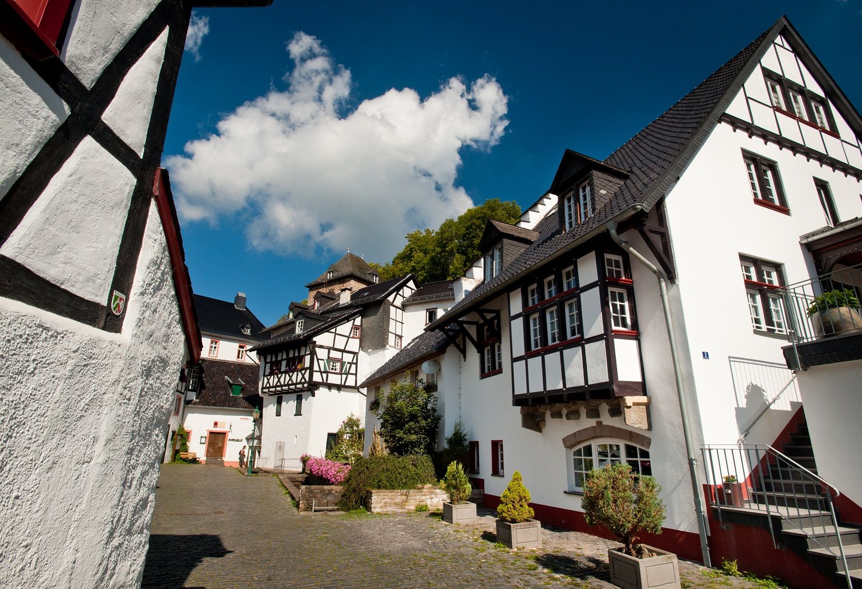 The Ahr spring, which rises in a vaulted cellar in the middle of the half-timbered village of Blankenheim, is an excursion destination well worth seeing