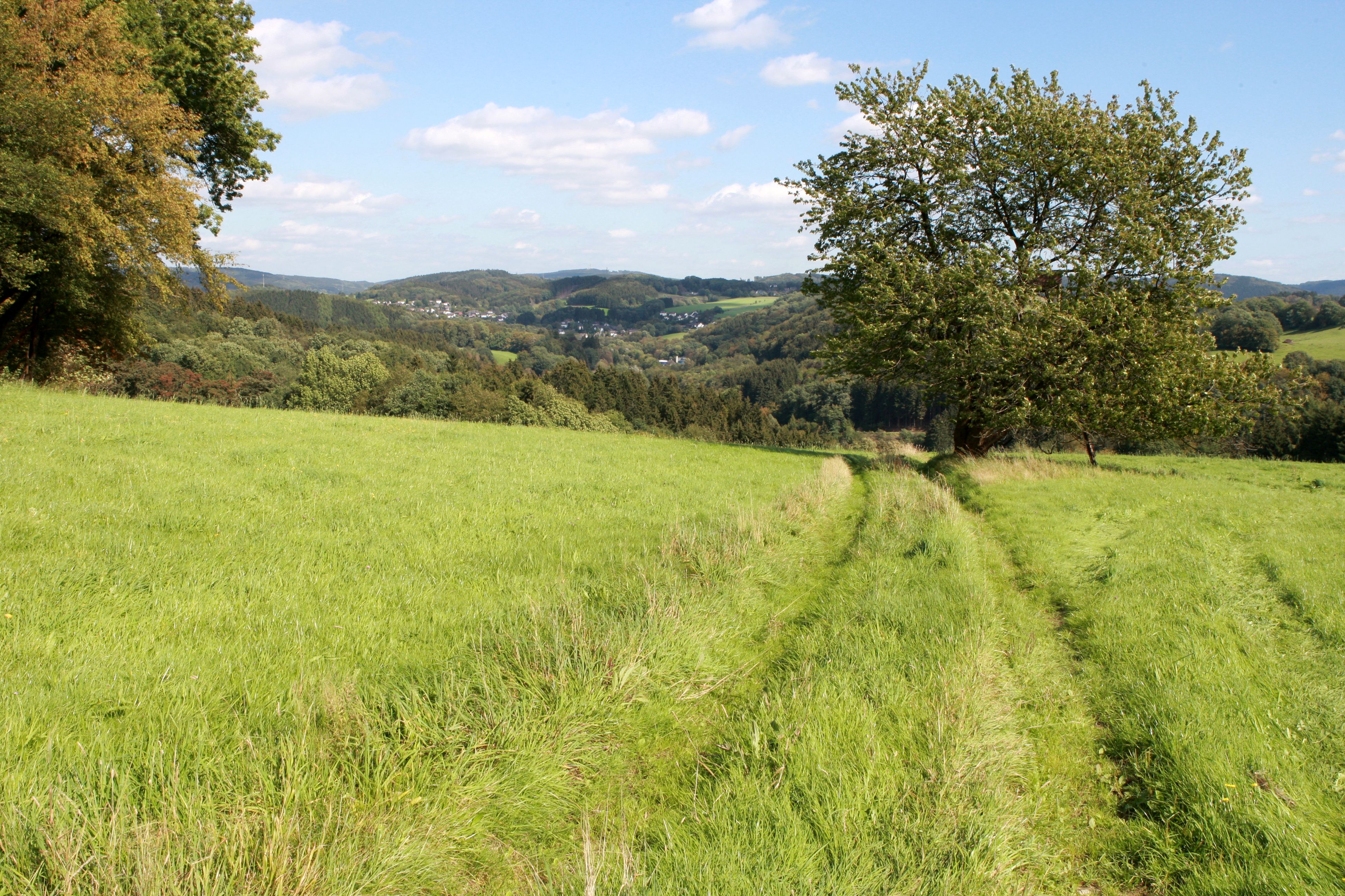 Bergischer Panoramasteig in the Leppe Valley