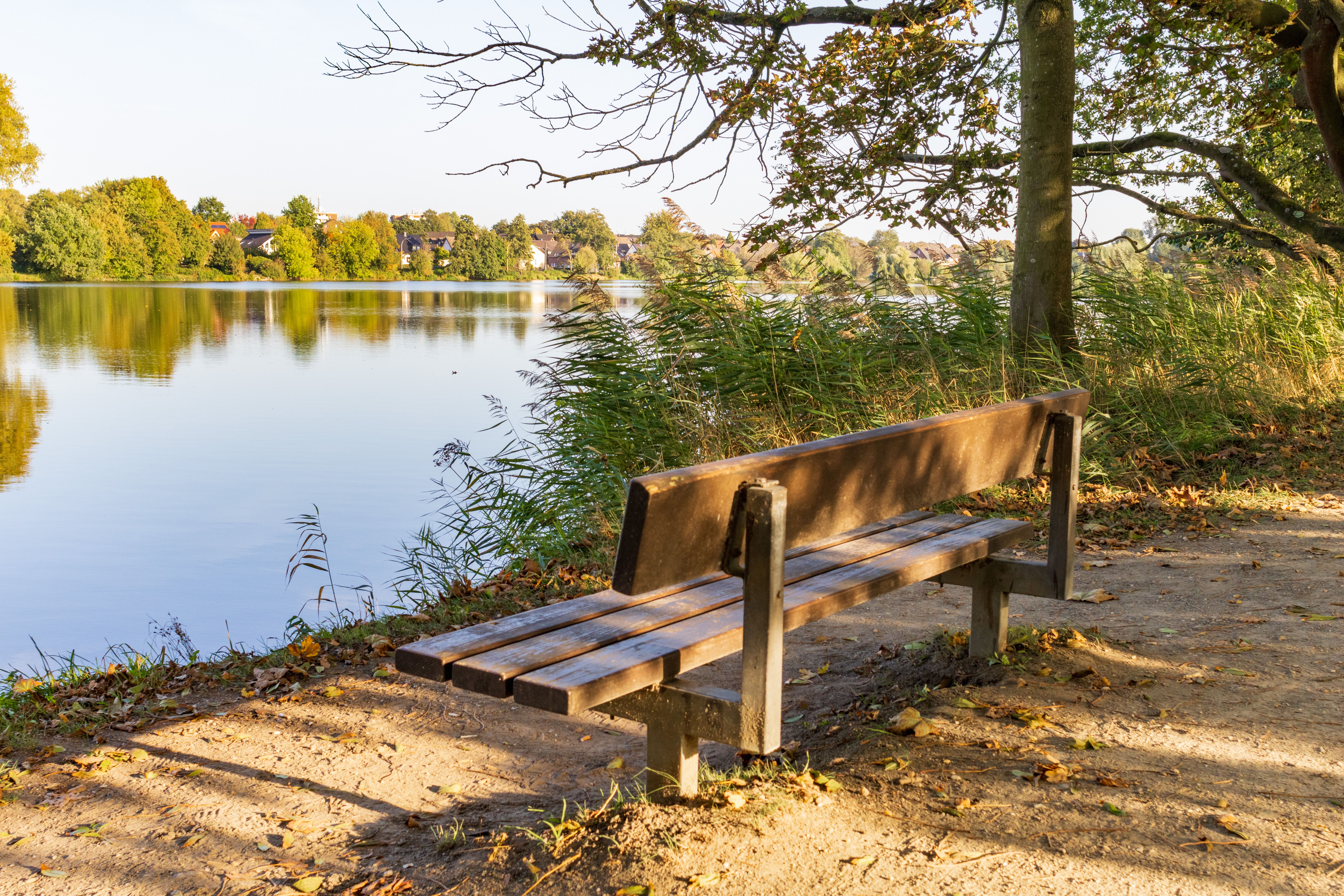 20231010_Nettebruch-Pfad_11-© NPSN Ermecke